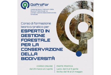 LIVELLO 1 Corso di formazione teorico/pratico per ESPERTO IN GESTIONE FORESTALE PER LA CONSERVAZIONE DELLA BIODIVERSITA'